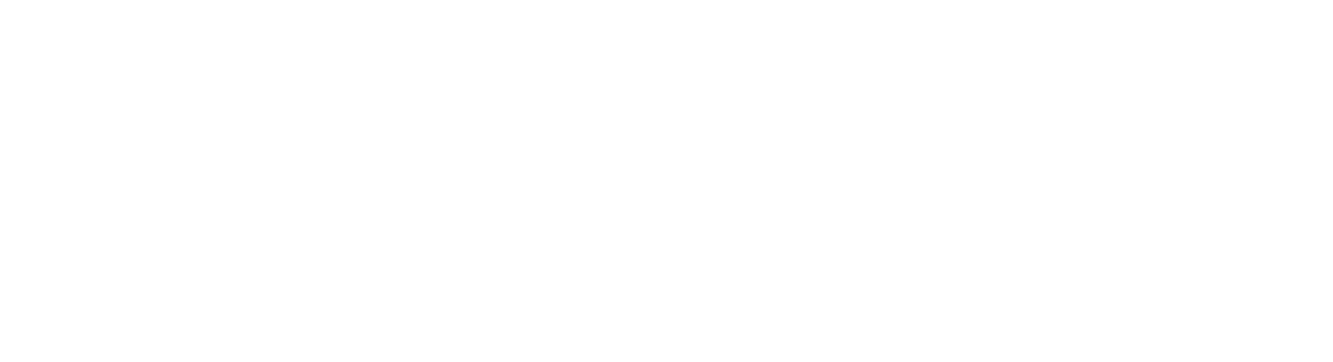logo light